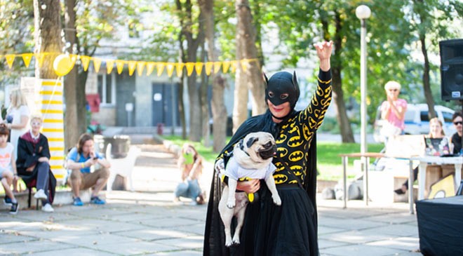 Перший конкурс косплею для собак в Україні: як це було? - 1 - изображение