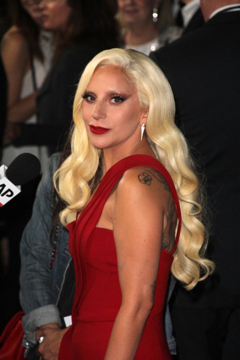 Леди Гага снялась для обложки известного журнала - 1 - изображение
