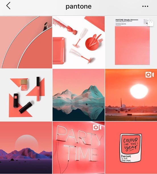 Единый стиль в Instagram: о тренде простым языком и глазами экспертов-блогеров - 1 - изображение