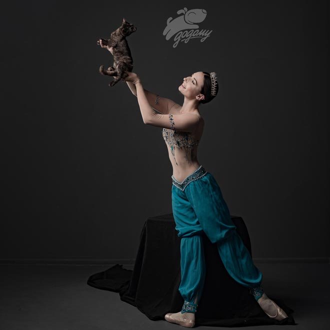 Животные ищут дом: солисты балета Национальной Оперы Украины в благотворительной инициативе - 6 - изображение
