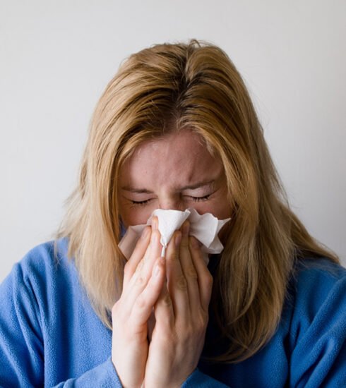Основные летние аллергены
