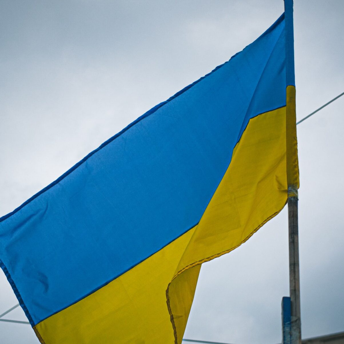 Катрин Денев зачитала стихотворение Леси Украинки