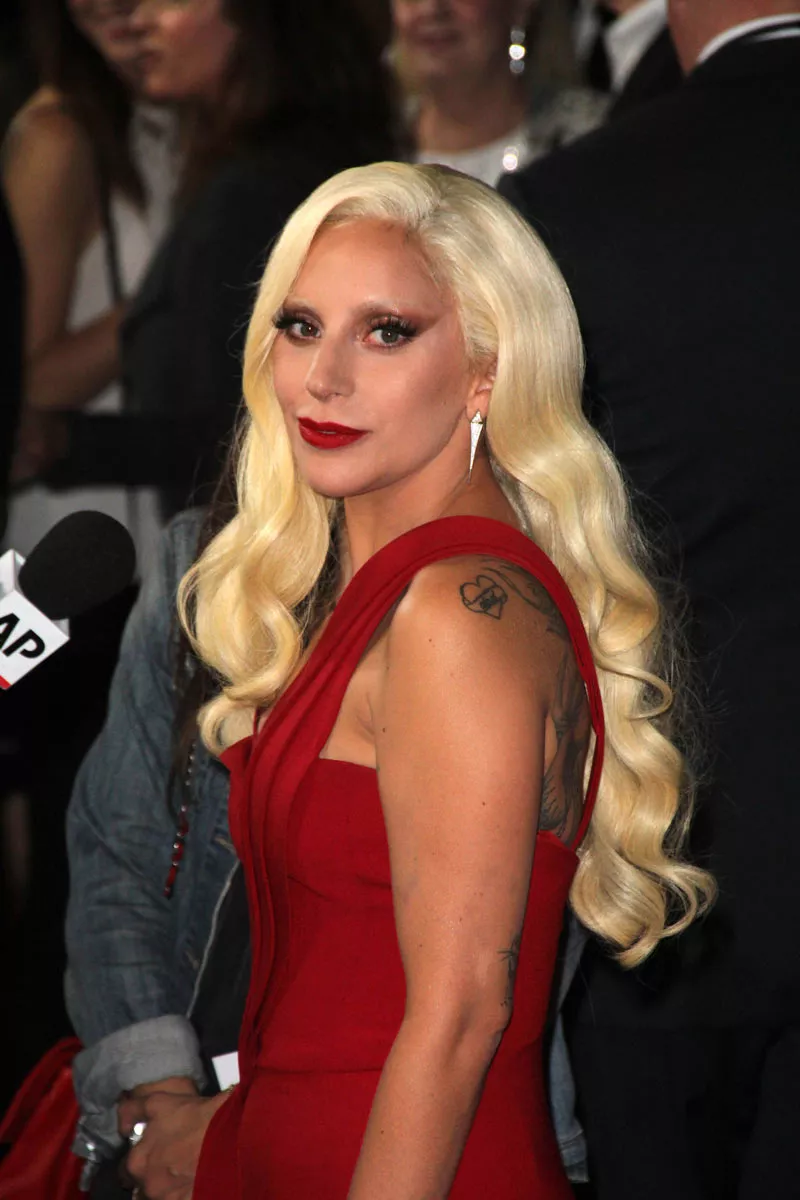 Леди Гага представила новое сногсшибательное шоу - 1 - изображение