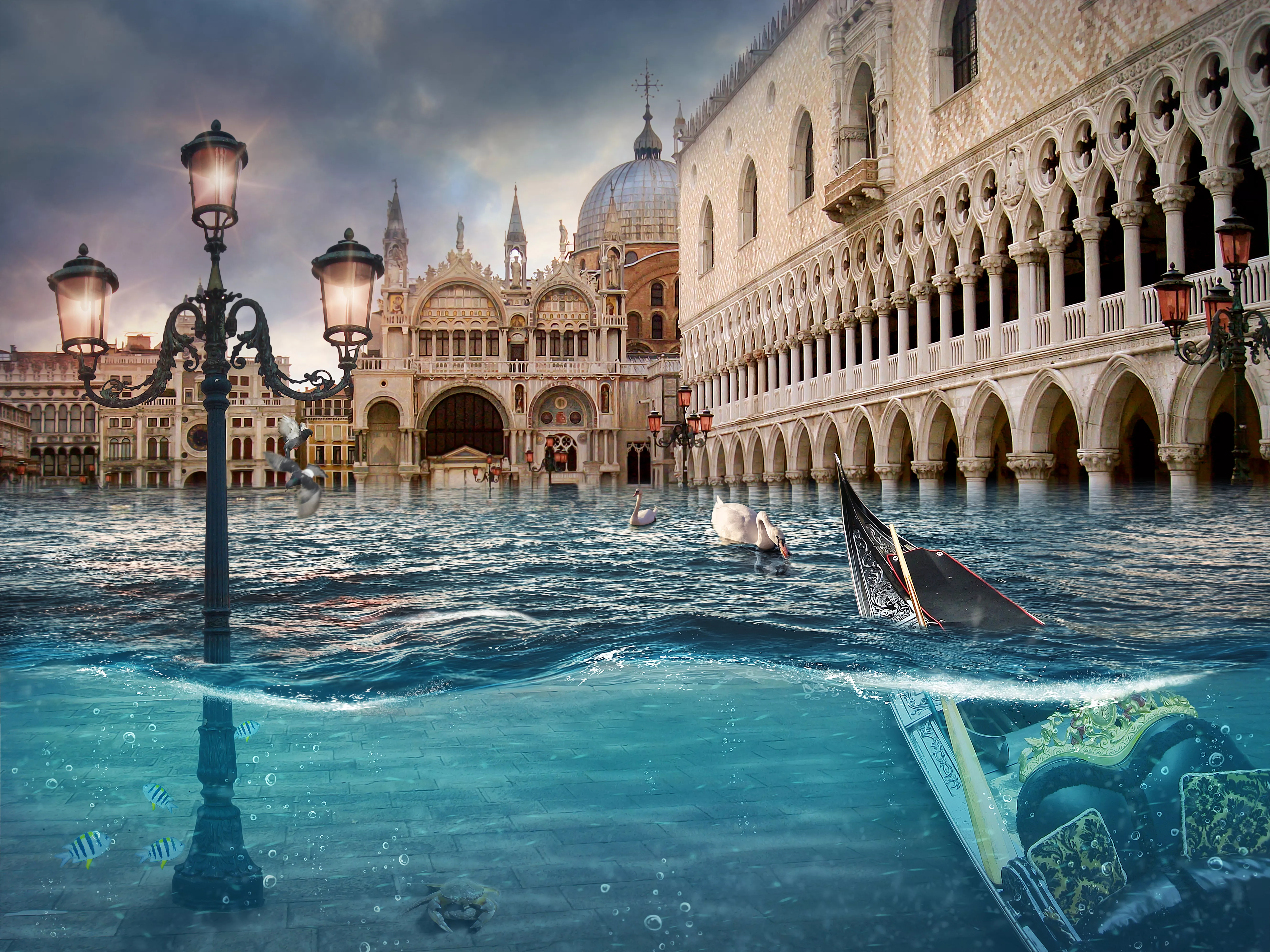 Венеция страдает от мощнейшего за полвека наводнения - 1 - изображение