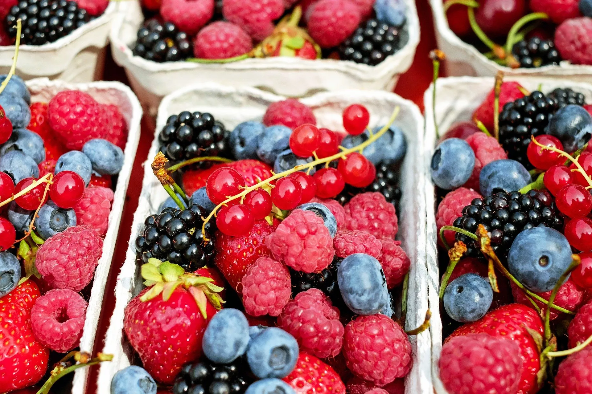 Изображение Couleur с сайта Pixabay 