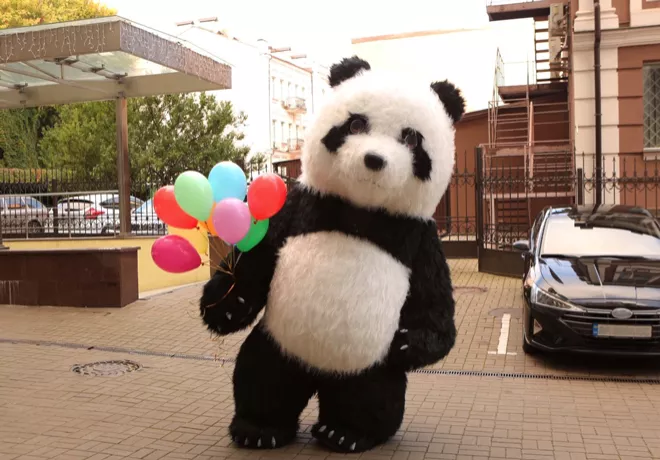 Гигантская панда поздравила ведущего Руслана Сеничкина с Днем рождения - 3 - изображение