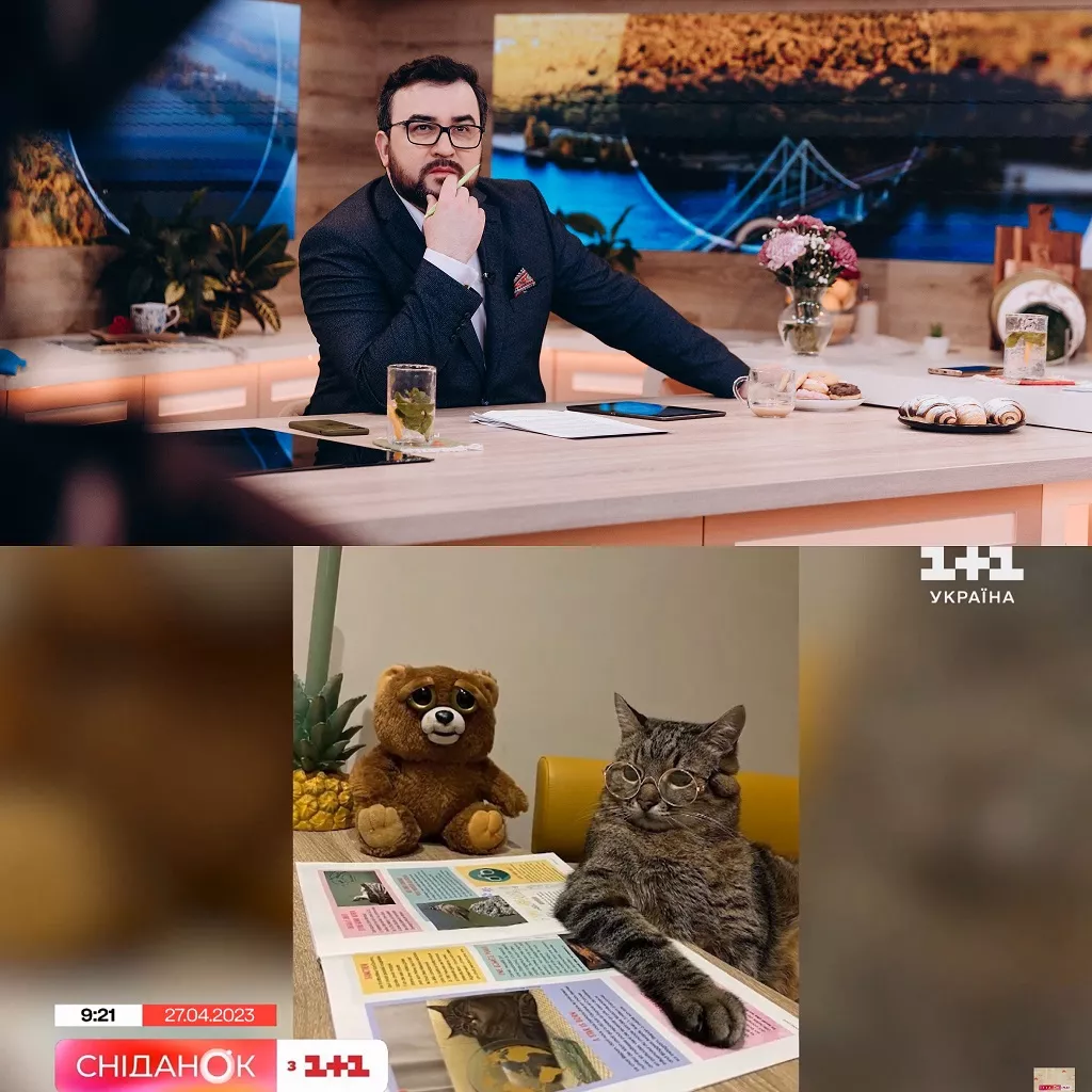Сенічкін і кіт Степан