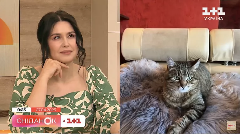 Кіт Степан у ефірі Сніданку з 1+1