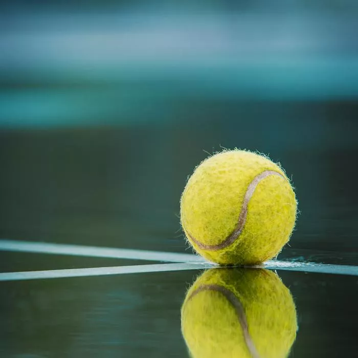Битва на кортах: українські тенісистки в 1/4 фіналу Australian Open-2024 - 1 - изображение
