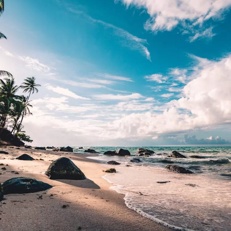 Elementor #59534 - 2 - изображение